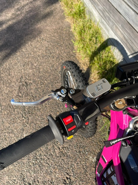 Surron Ultra Bee Rear Brake Kit For Surron LBX/E-Ride Pro